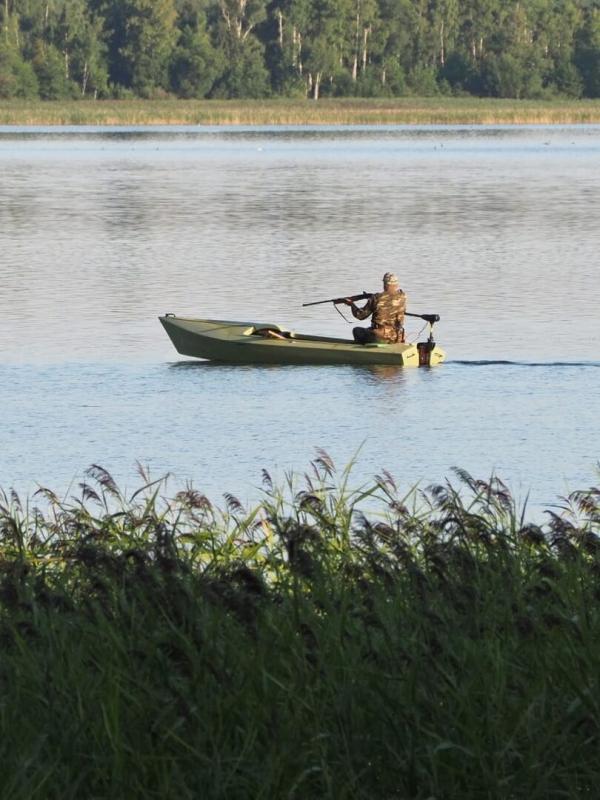 Tous fous du calibre 20