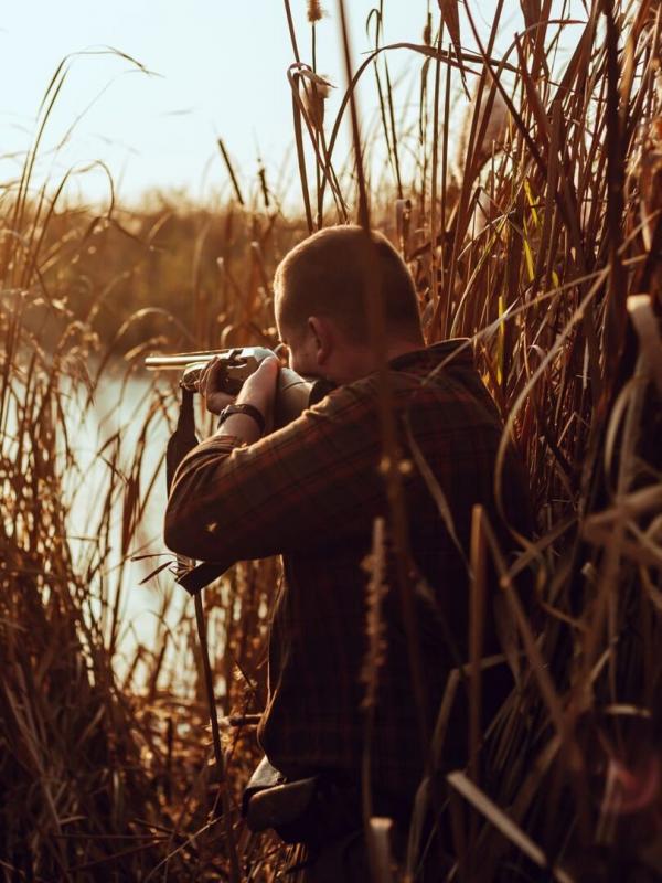 Au coeur de la nature
