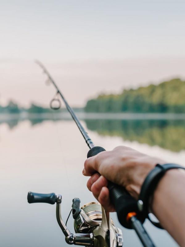 J'irai pêcher chez vous