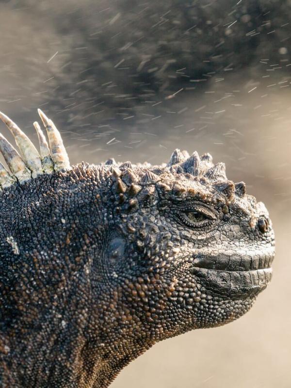 Une planète parfaite