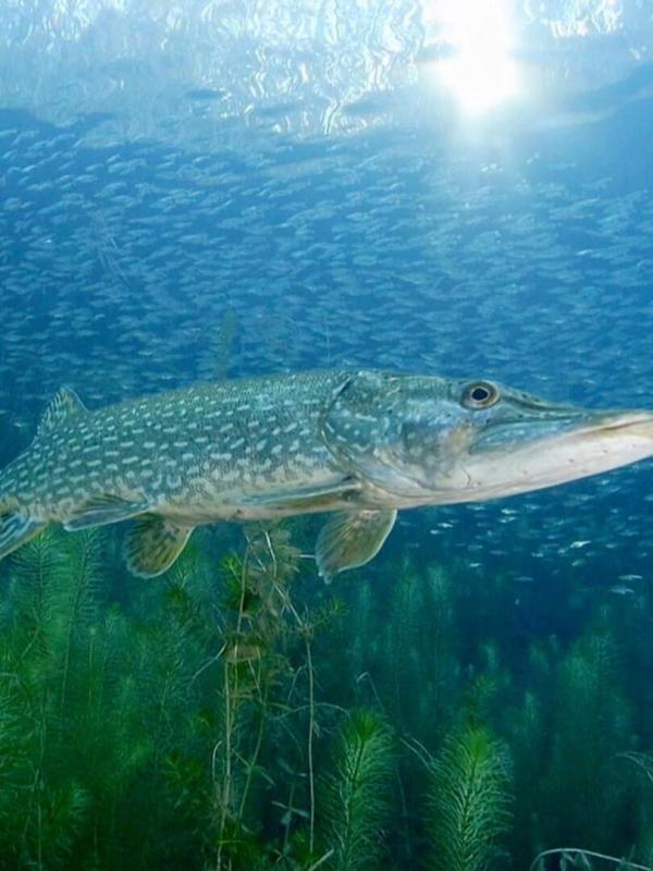 Lebensquelle Grundwasser