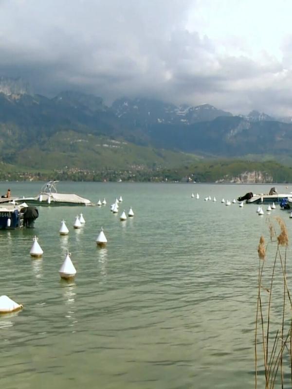 Les carnets de Julie