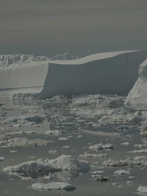 Groenland, l'eldorado des glaces