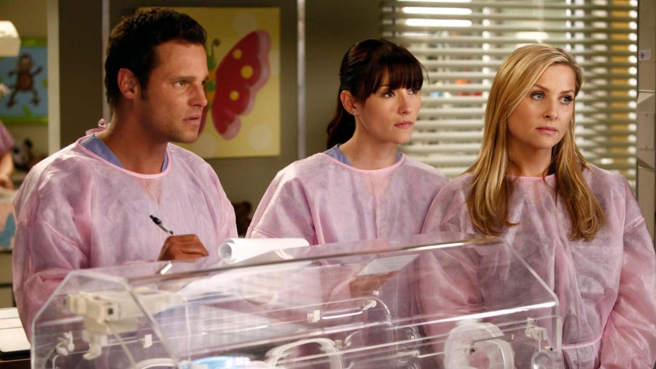 Grey's Anatomy S8 E16