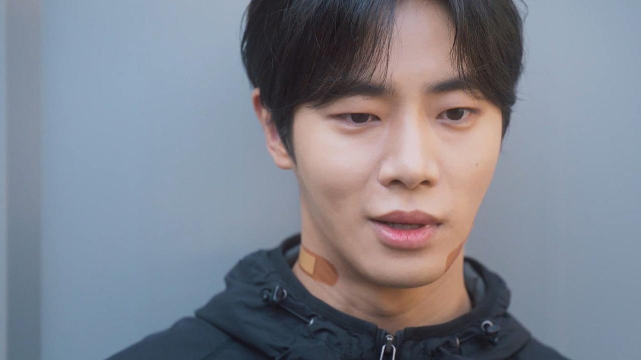 La Fée et le Bouvier