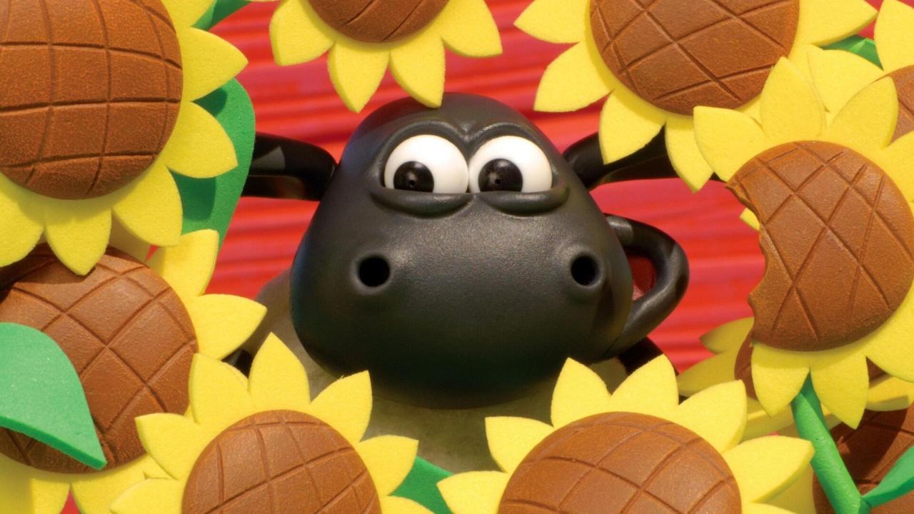 Voici Timmy S3 E3
