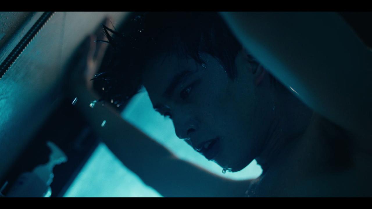 Si je n'avais vu le soleil