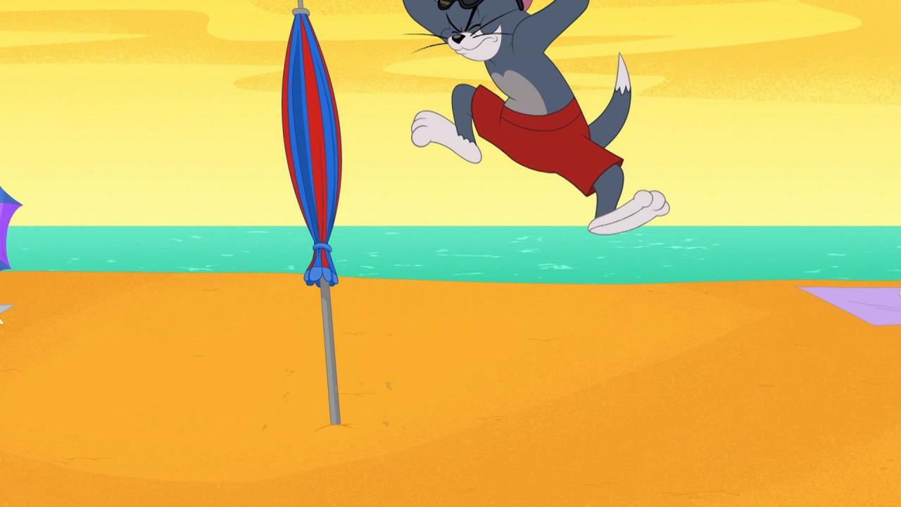 Tom et Jerry Show