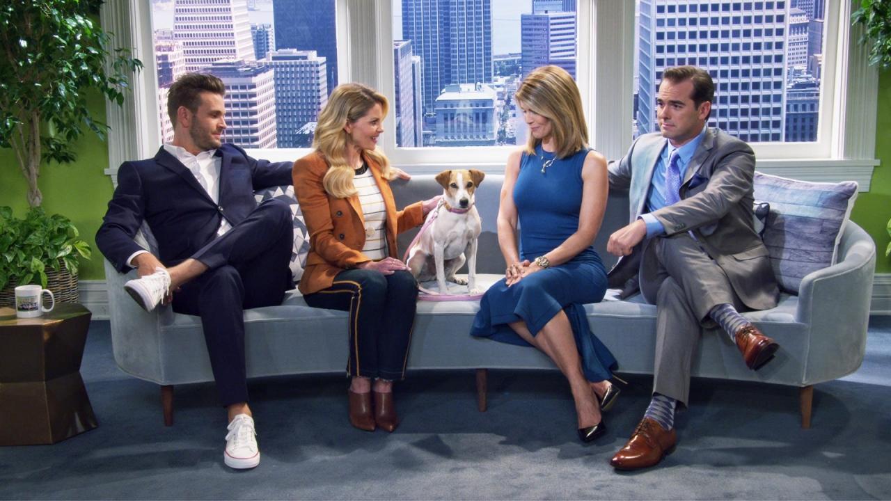 La Fête à la maison : 20 ans après