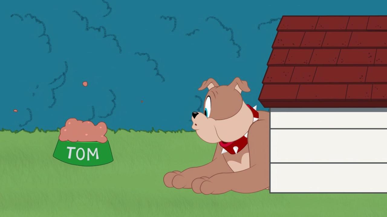 Tom et Jerry Show