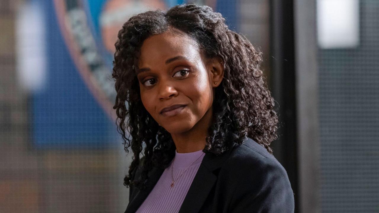 New York Unité Spéciale