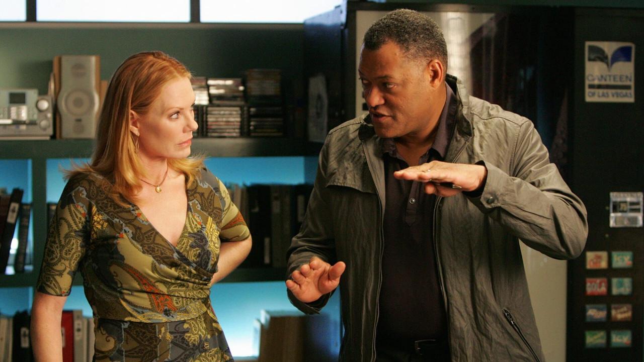 Les Experts S10 E14