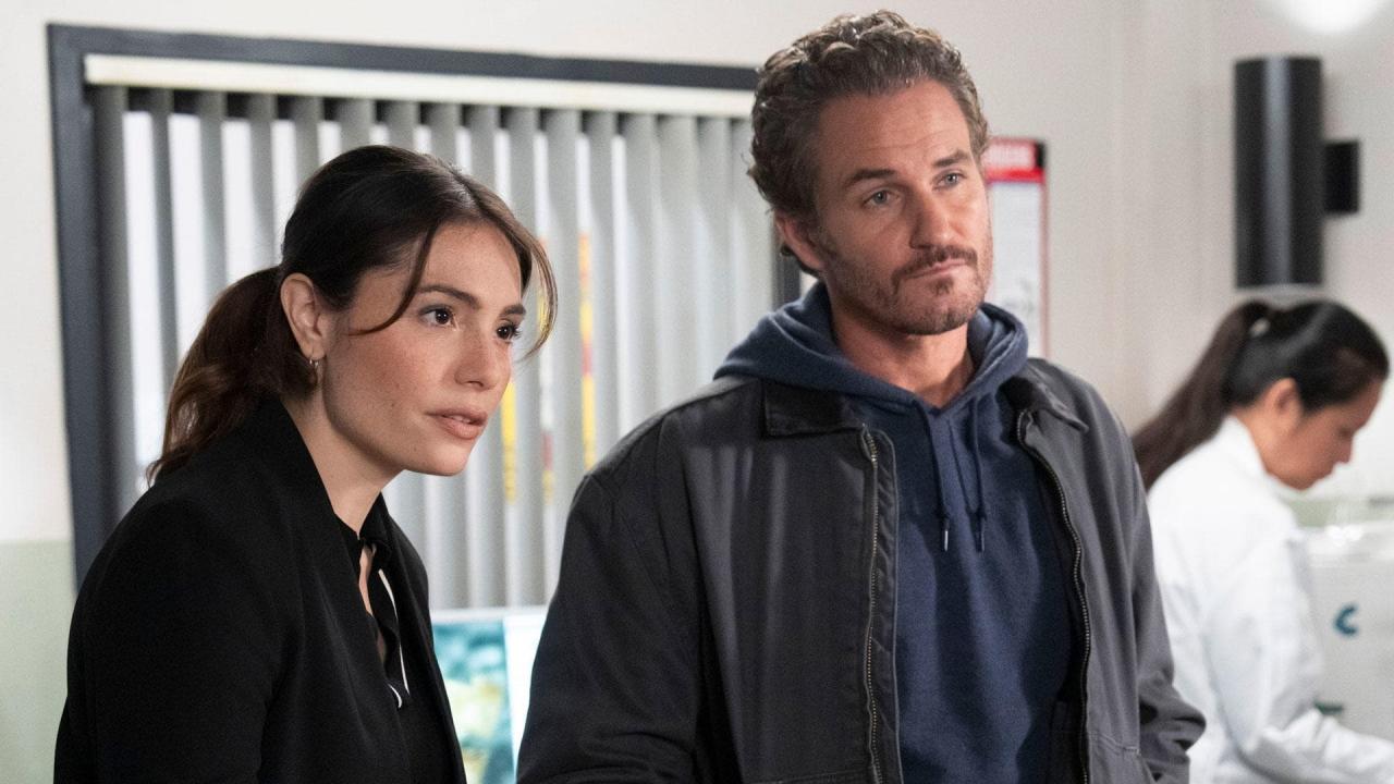 New York Unité Spéciale