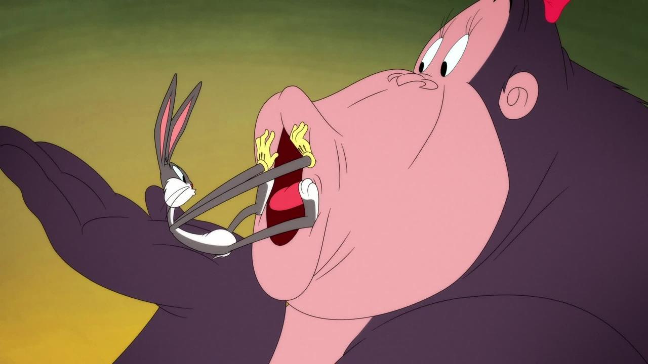 Looney Tunes Cartoons