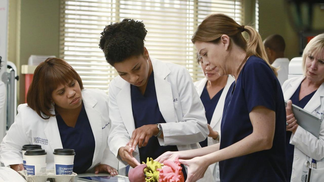 Grey's Anatomy S11 E10