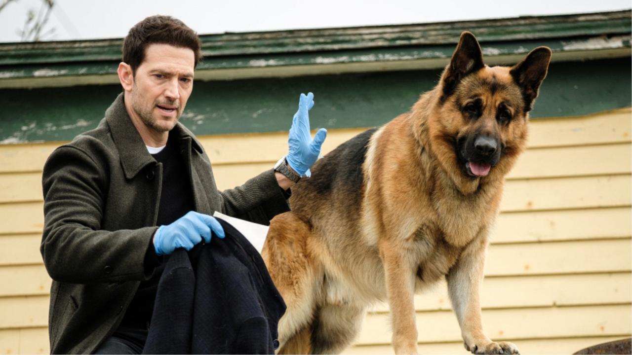 Hudson et Rex