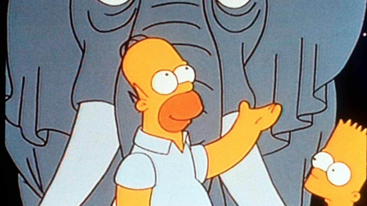 Les Simpson S5 E17