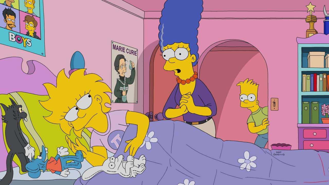 Les Simpson S29 E8