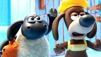 Voici Timmy