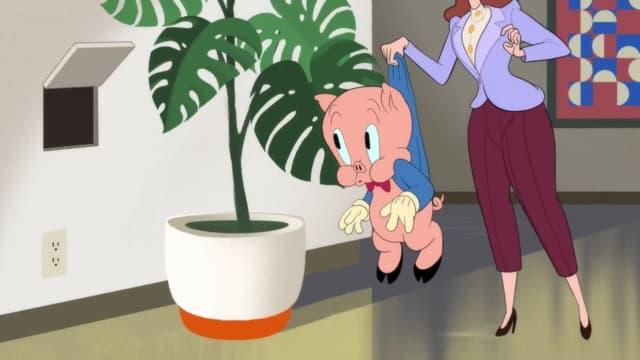 Looney Tunes Cartoons