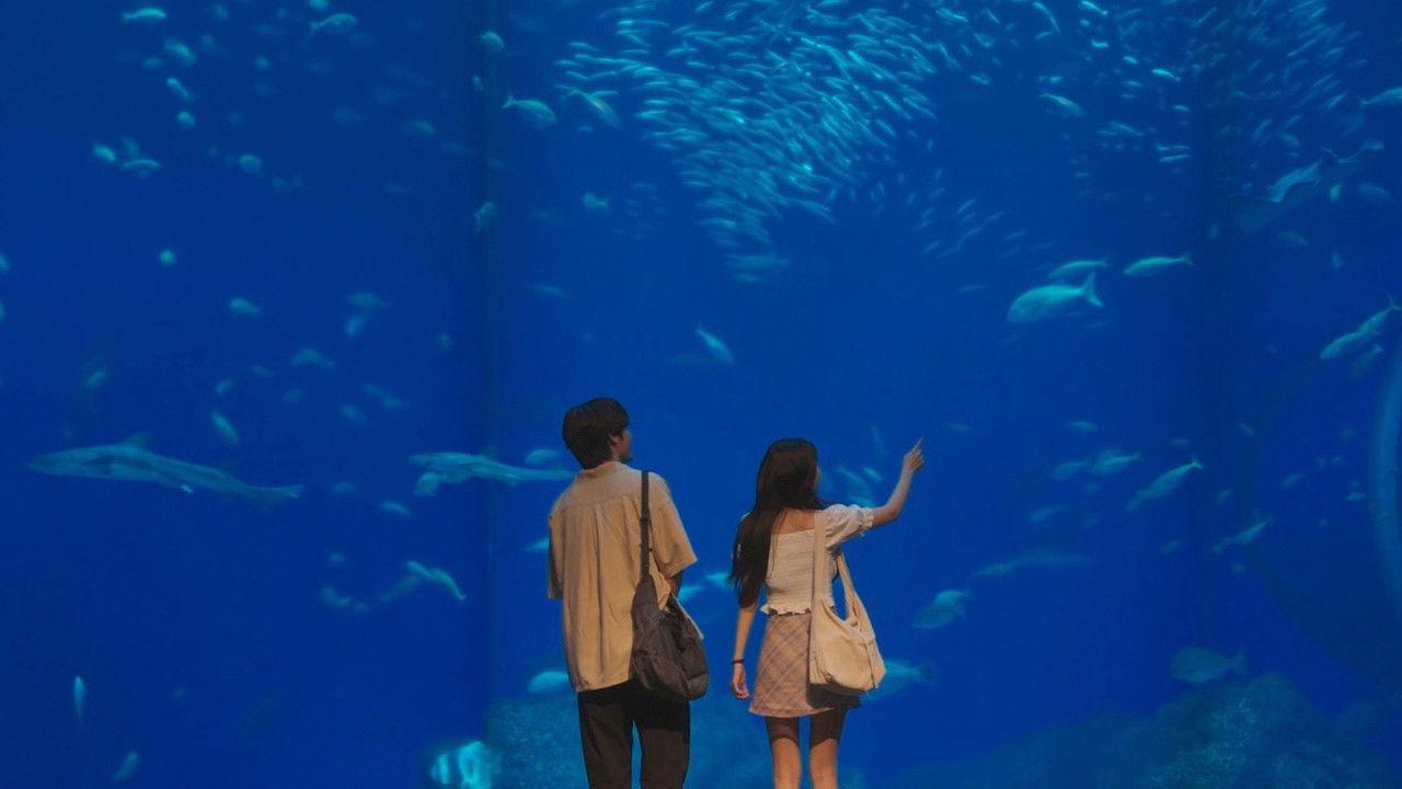 キンパとおにぎり〜恋するふたりは似ていてちがう〜