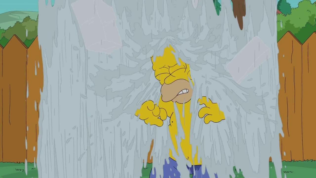 Les Simpson