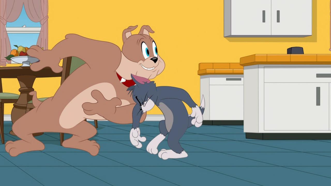 Tom et Jerry Show