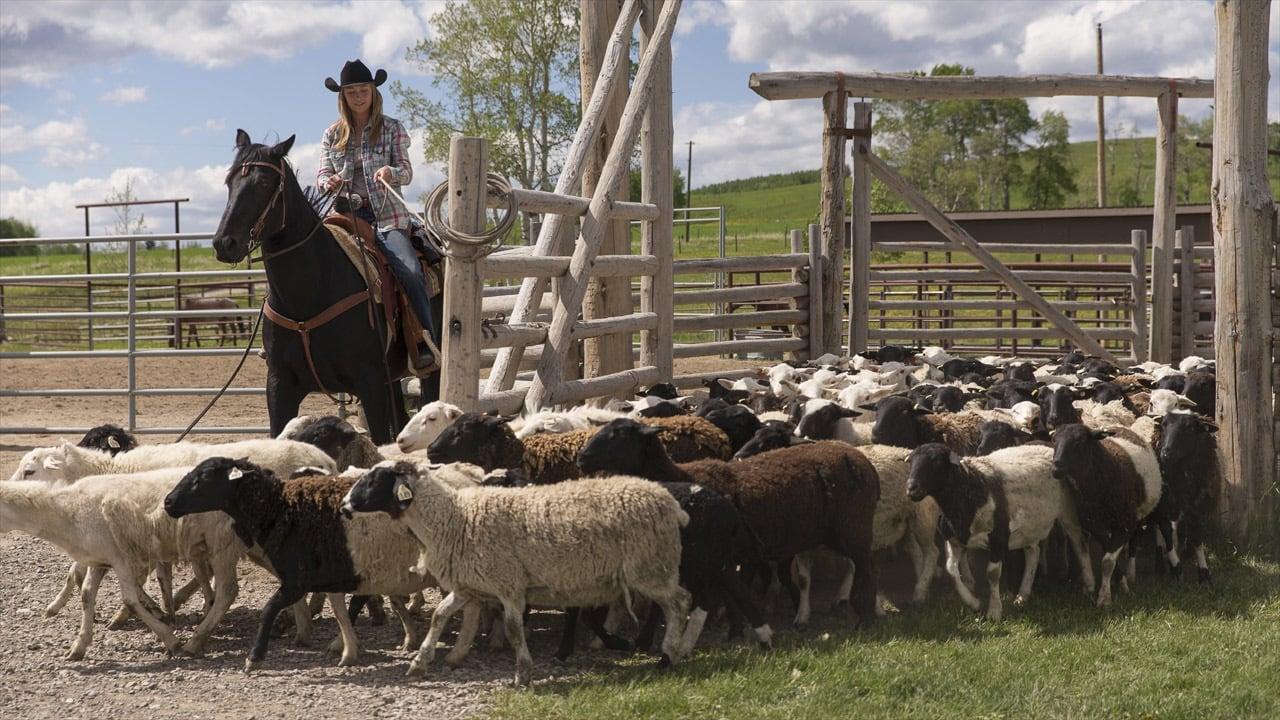 Heartland