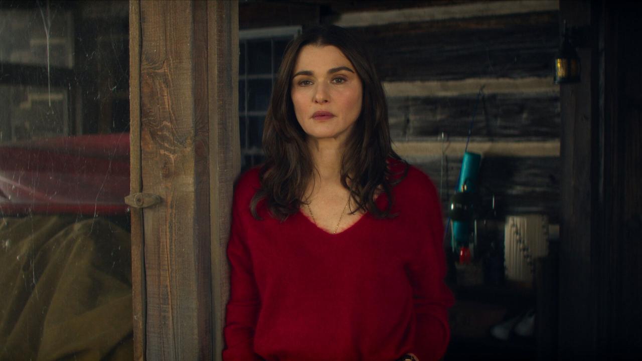 Le Délicieux Professeur V.