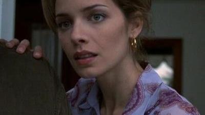 New York Unité Spéciale