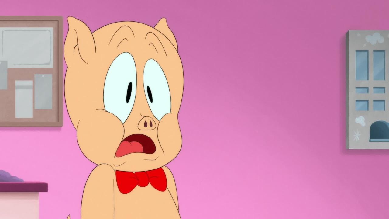 Looney Tunes Cartoons