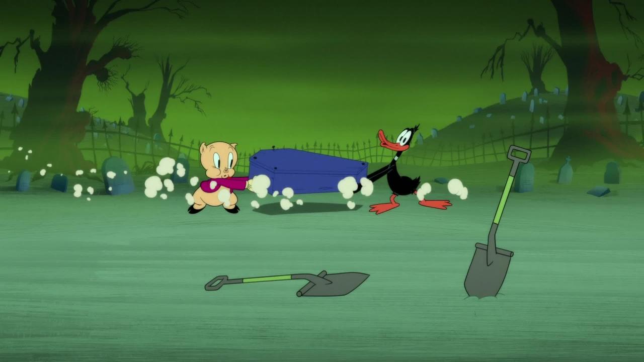 Looney Tunes Cartoons
