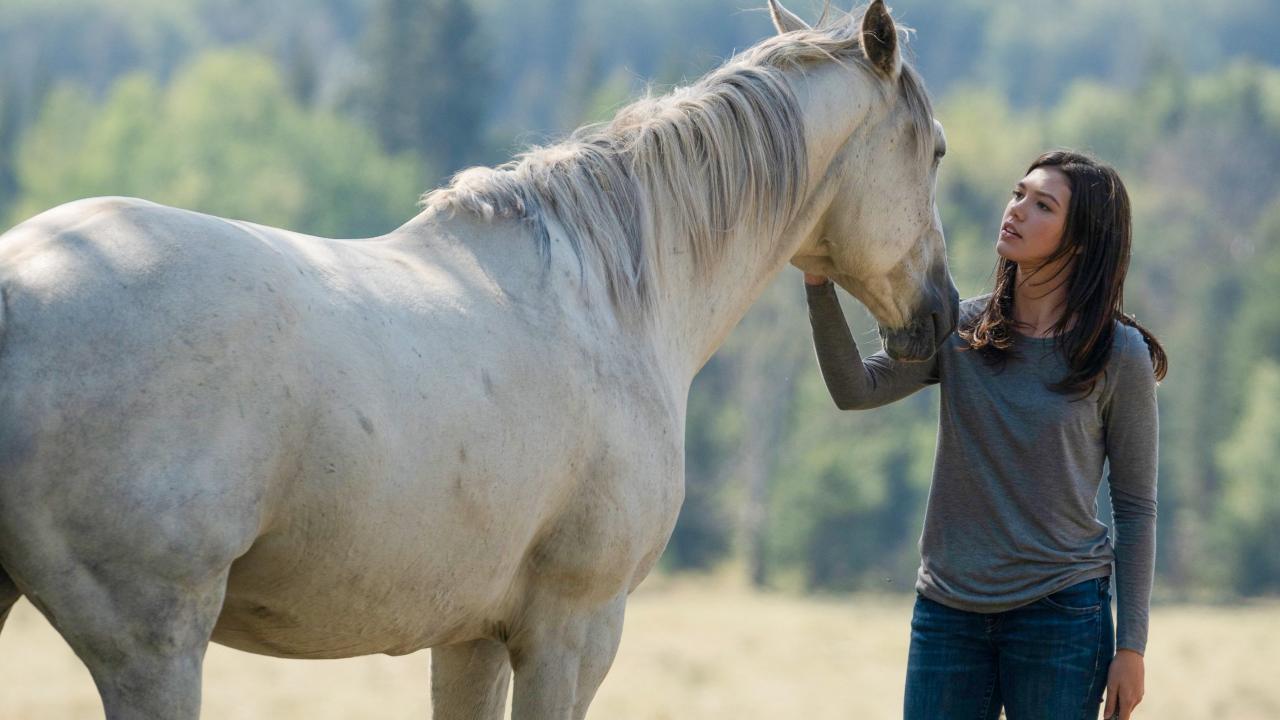 Heartland