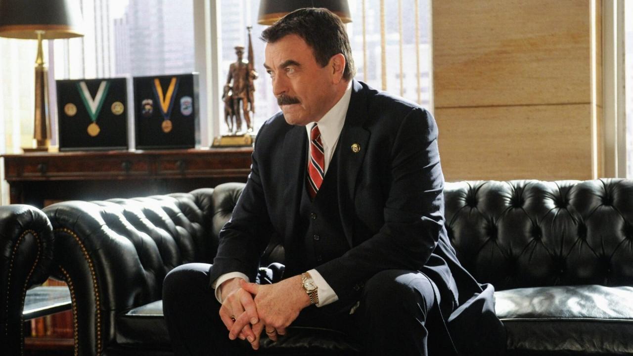 Blue Bloods S3 E17
