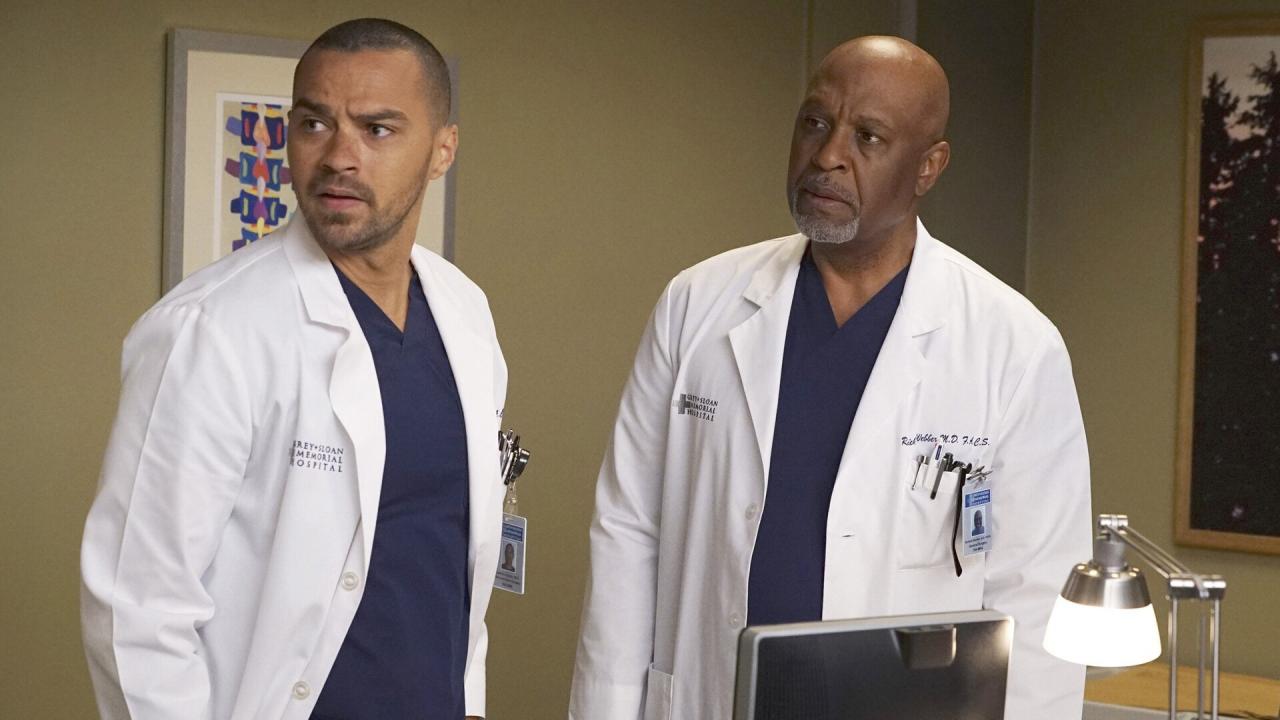 Grey's Anatomy S12 E19