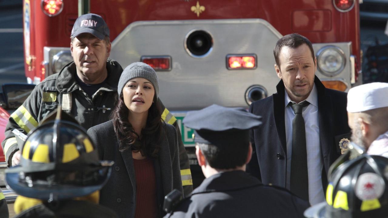 Blue Bloods S4 E10