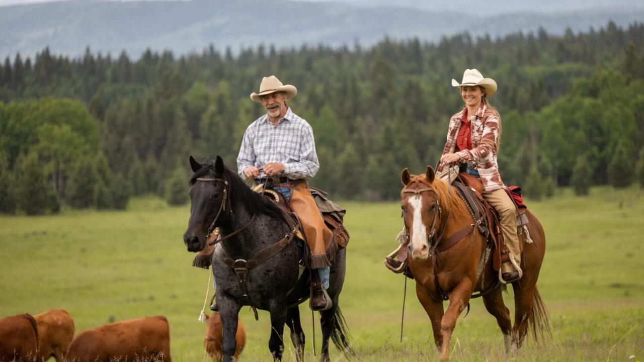 Heartland S16 E1