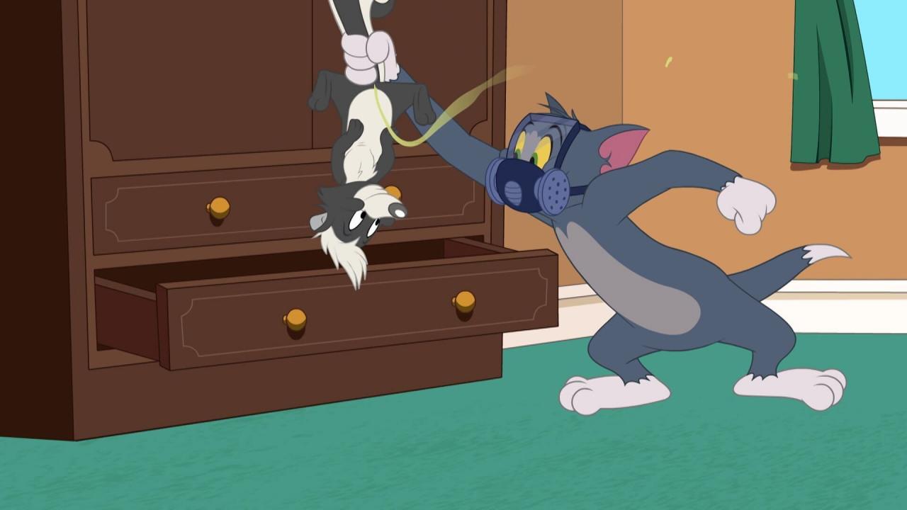 Tom et Jerry Show S5 E35