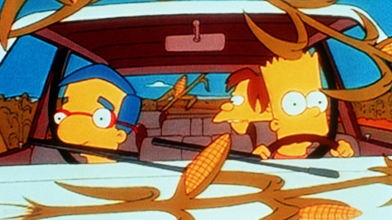 Les Simpson S7 E20