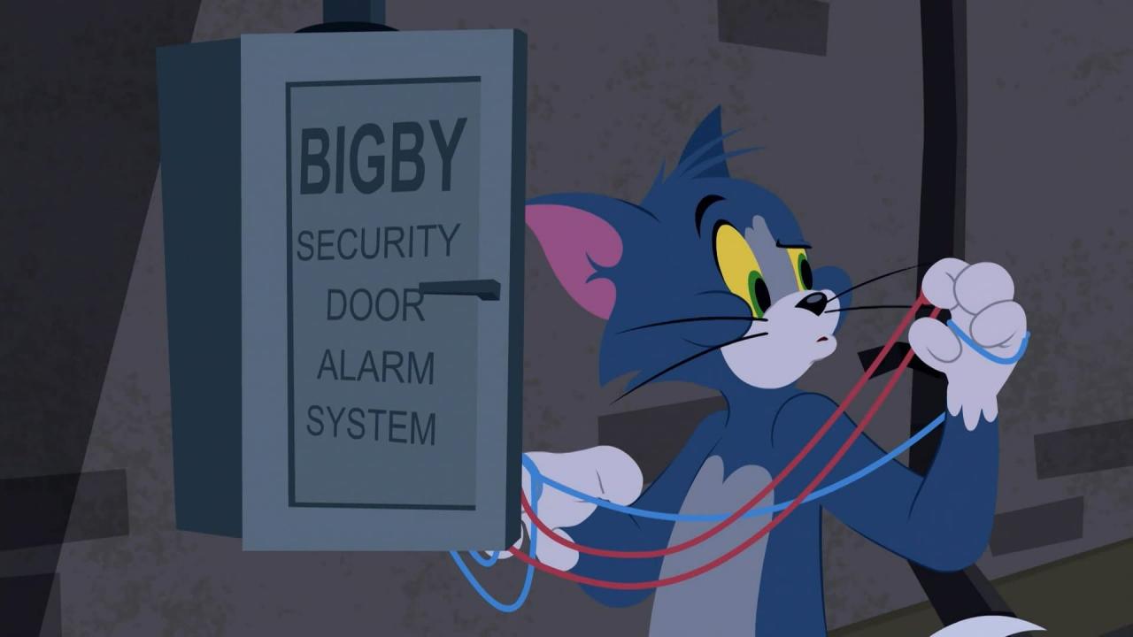 Tom et Jerry Show