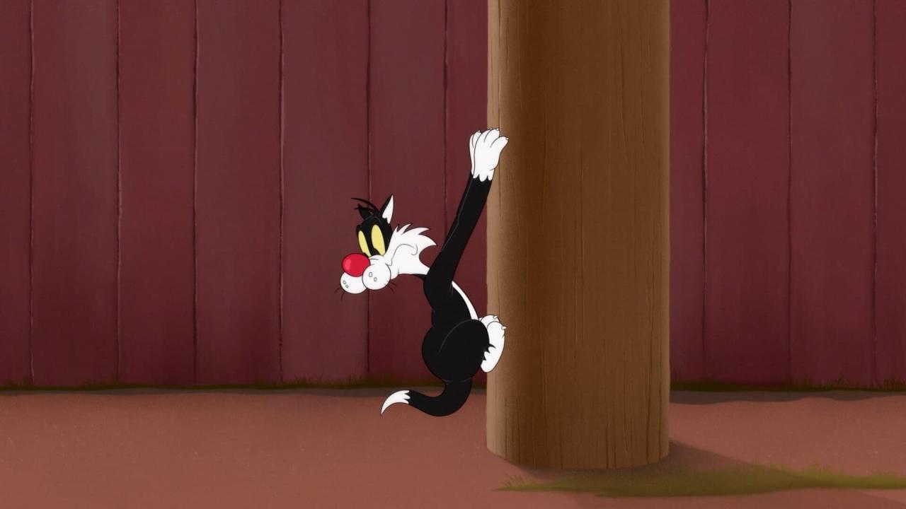 Looney Tunes Cartoons