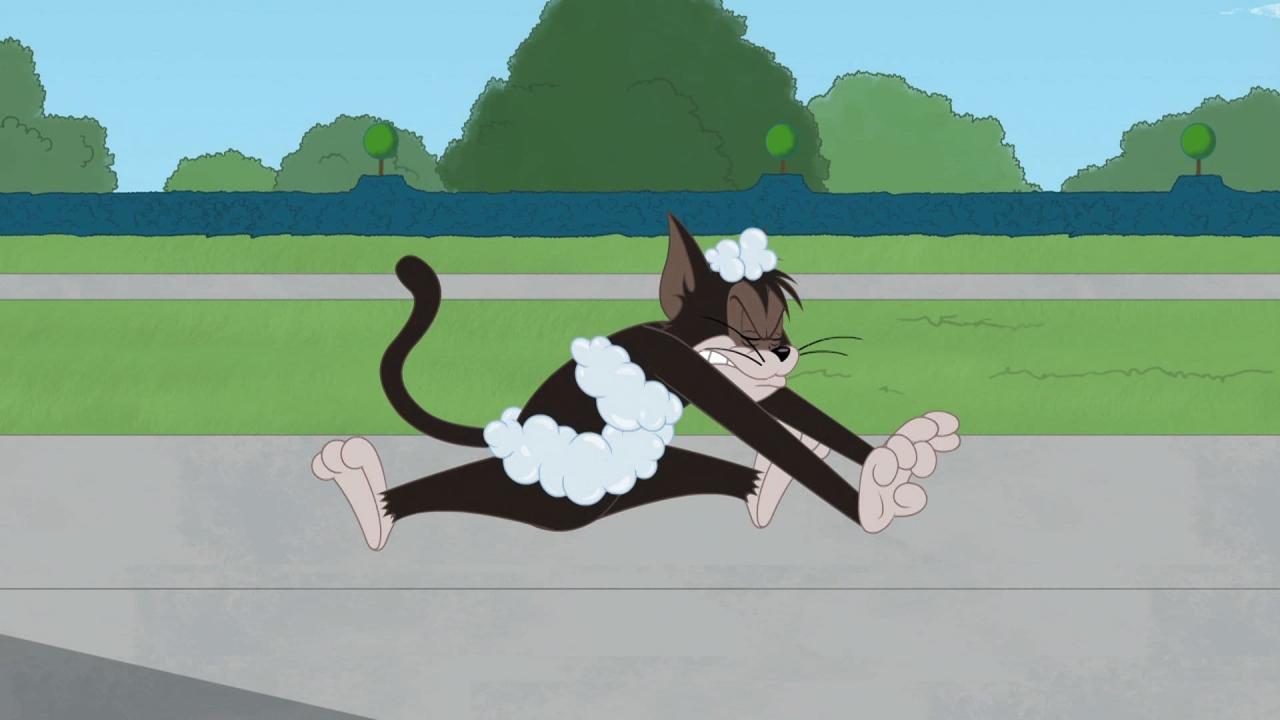Tom et Jerry Show