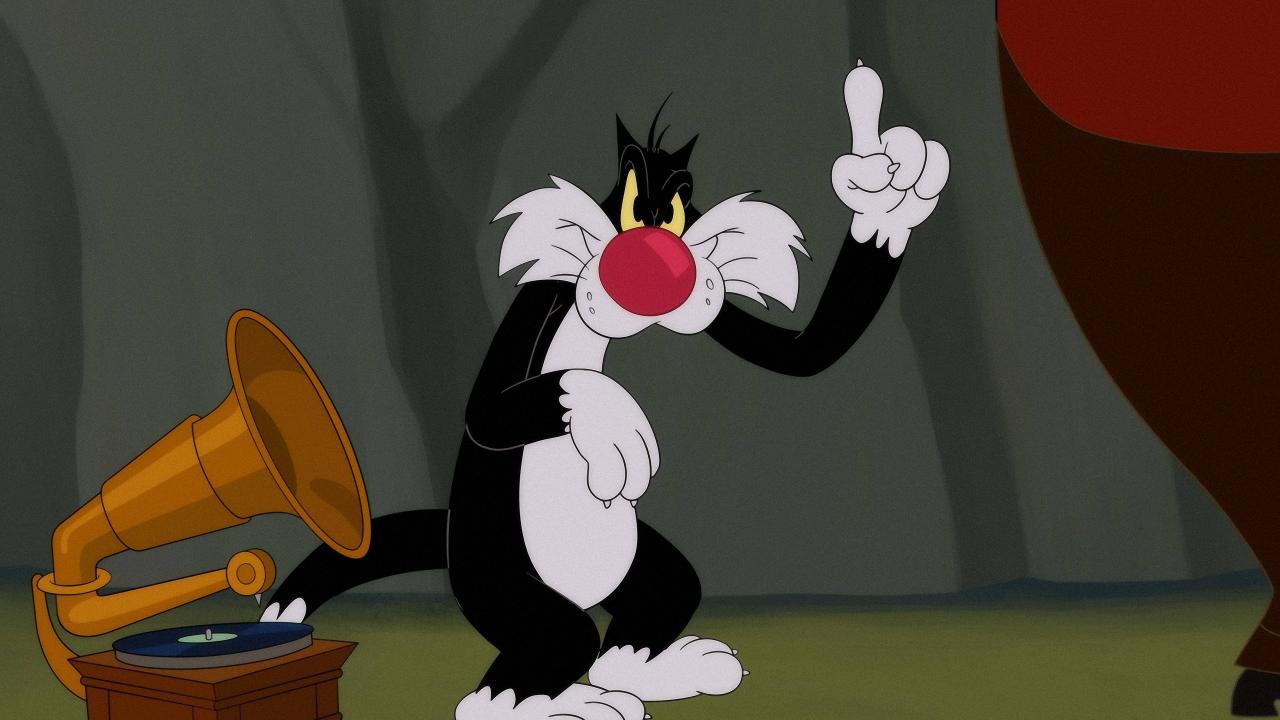 Looney Tunes Cartoons
