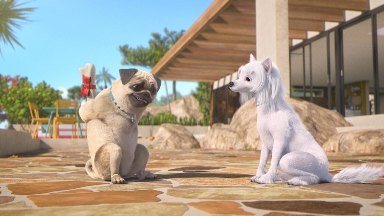 Mike, une vie de chien S1 E50