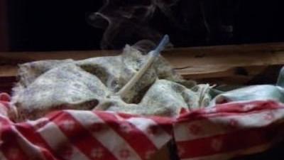 La Petite Maison dans la prairie