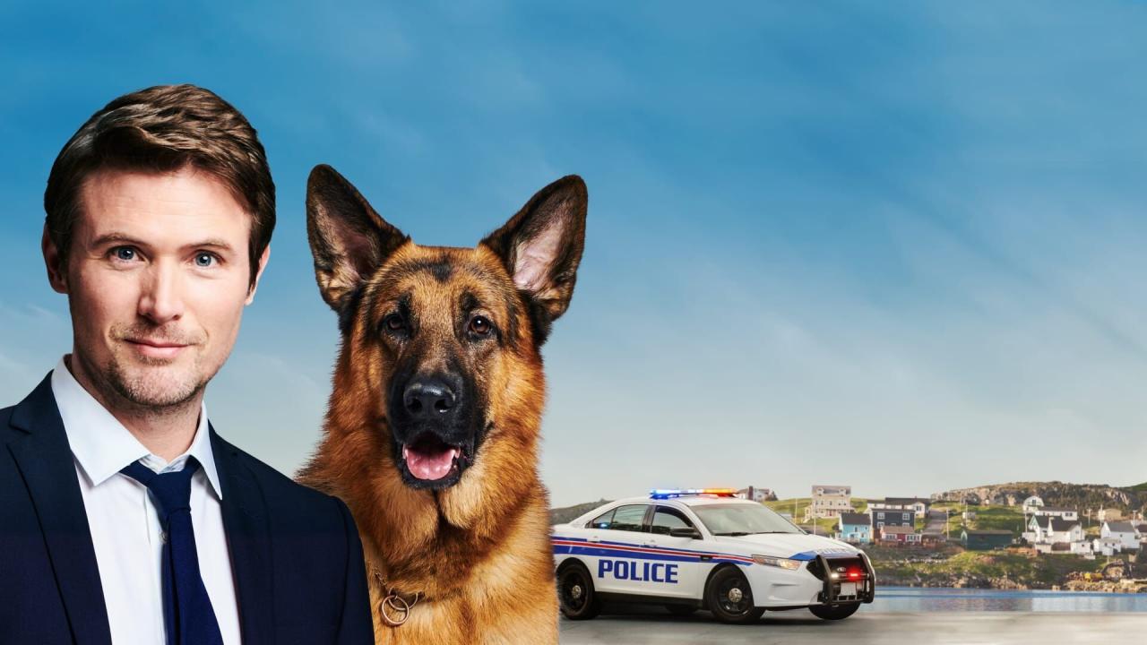 Hudson et Rex S2 E11