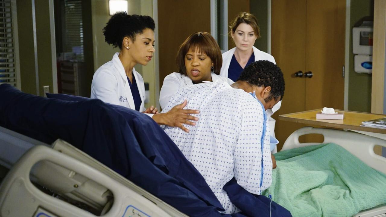 Grey's Anatomy S11 E12