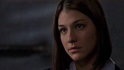 New York Unité Spéciale