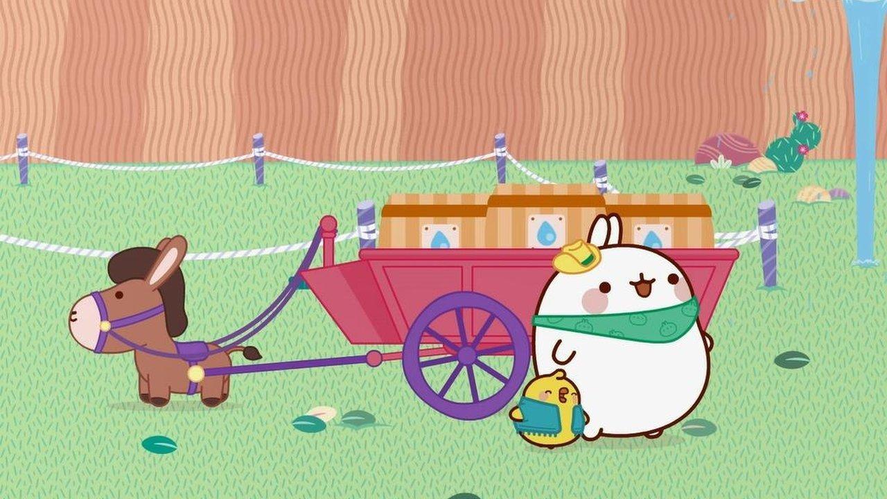 Molang