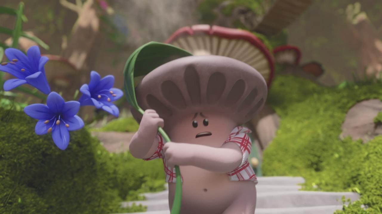 Mush-Mush & les Champotes